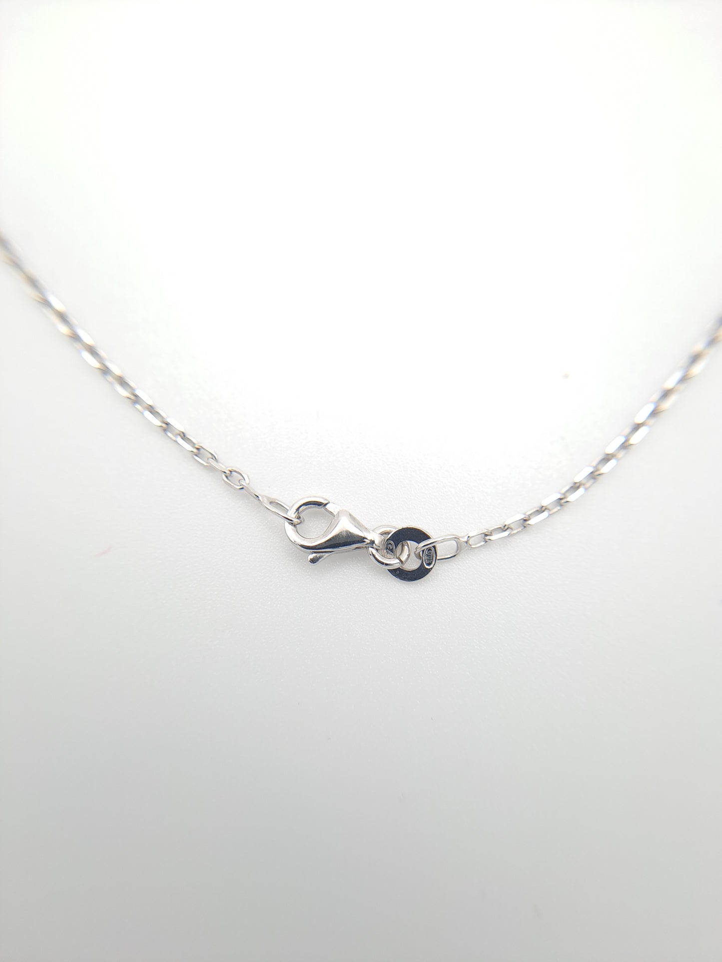 Collier en Argent et Perle de Tahiti Cerclée – Élégance Authentique